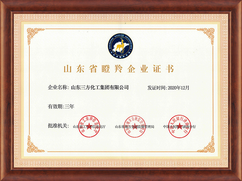 爱康瞪羚企业证书