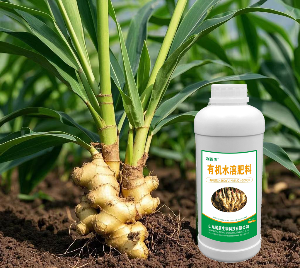 大姜专用有机水溶肥