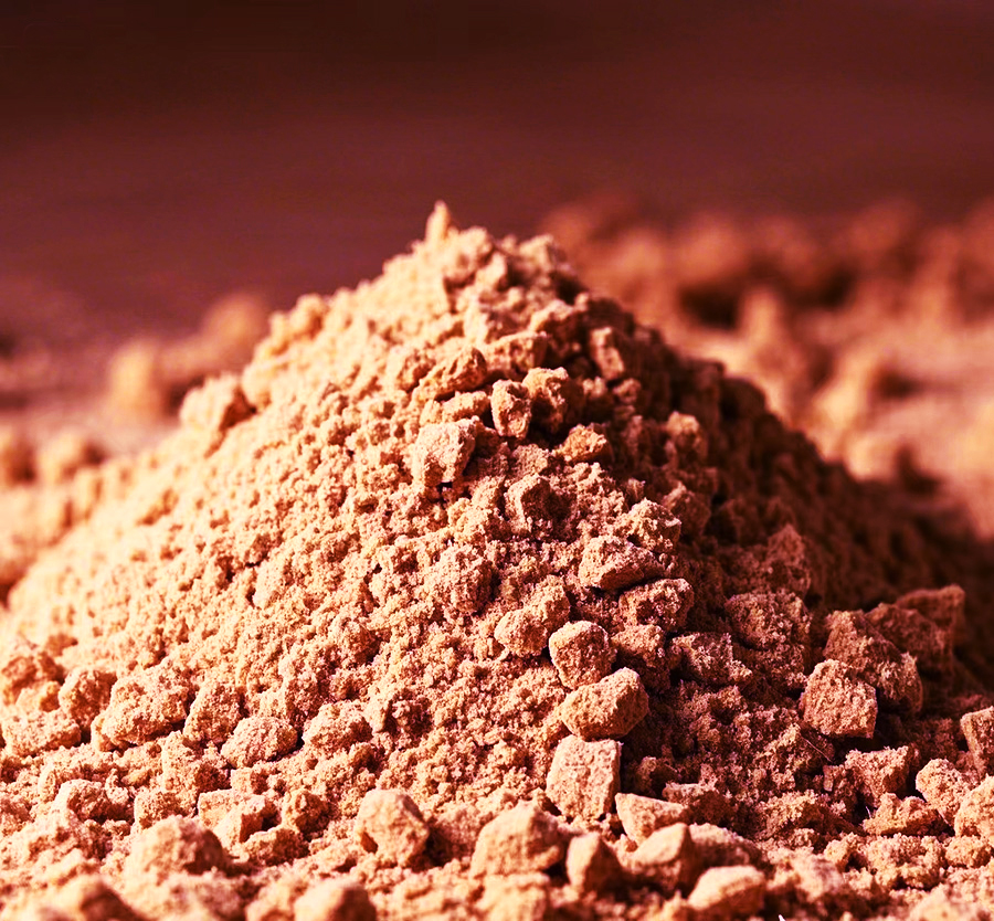 单细胞高活性蛋白