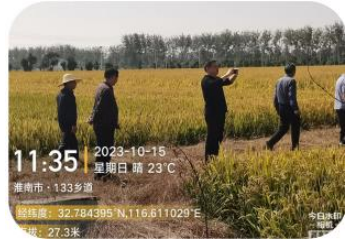 安徽淮南水稻试验获突破 "利百农"有机水溶肥增产近两成